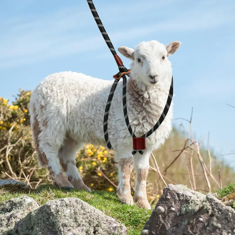 Goat Harness & Leash, Adjustable Step-in SheepHarness, Goat Accessories, Livestock Halter Supplies forGoats and Sheep (Large)