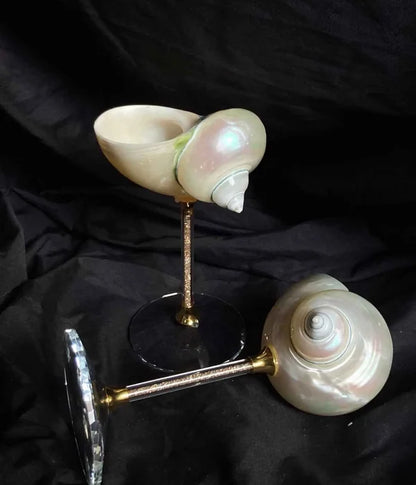 Natural Handmade Shell Crafts | Shell Dining Sets & Shell Jewelry Boxes