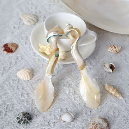 Natural Handmade Shell Crafts | Shell Dining Sets & Shell Jewelry Boxes