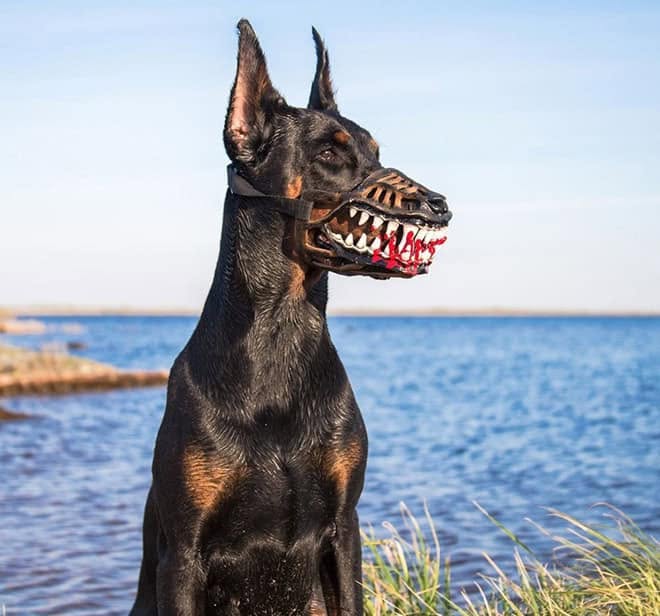 Scary Werewolf Dog Muzzle with LargeTeeth,Hilarious Costume for Halloween