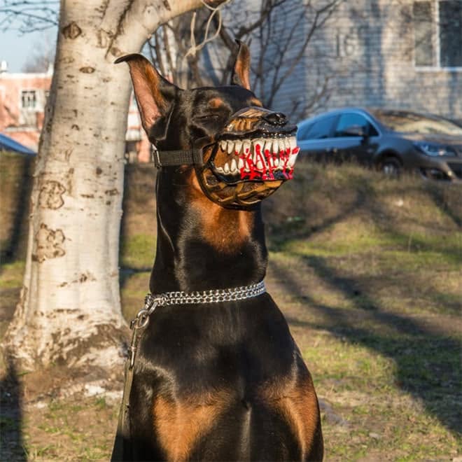 Scary Werewolf Dog Muzzle with LargeTeeth,Hilarious Costume for Halloween