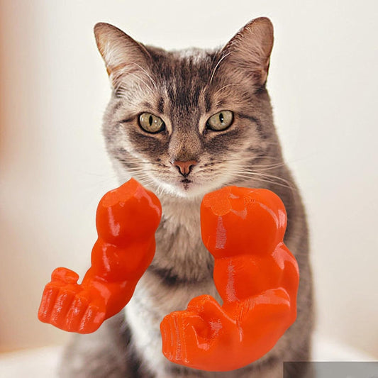 Funny Cat with MusclesFunny Cat with MuscularArms 3D Printed HumanArms for Cats