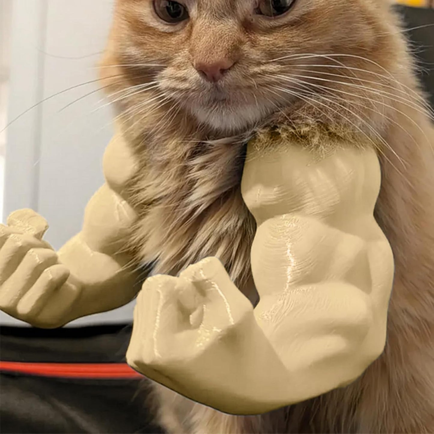 Funny Cat with MusclesFunny Cat with MuscularArms 3D Printed HumanArms for Cats
