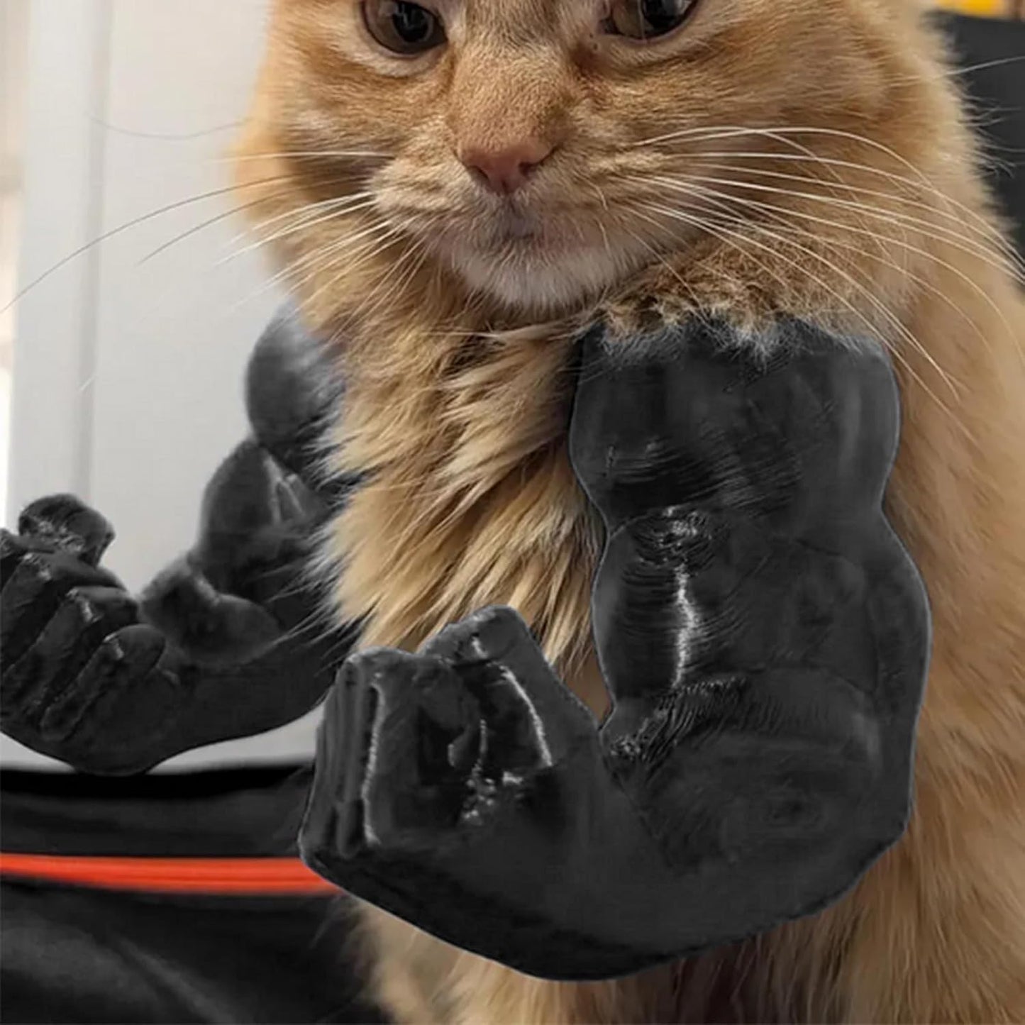 Funny Cat with MusclesFunny Cat with MuscularArms 3D Printed HumanArms for Cats