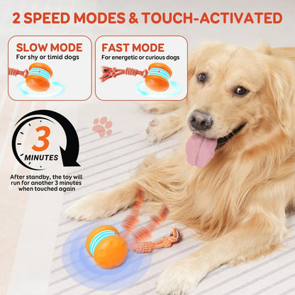 Interactive Dog Ball,Random Path Electric Moving Dogs Toy with Rope