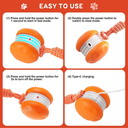 Interactive Dog Ball,Random Path Electric Moving Dogs Toy with Rope