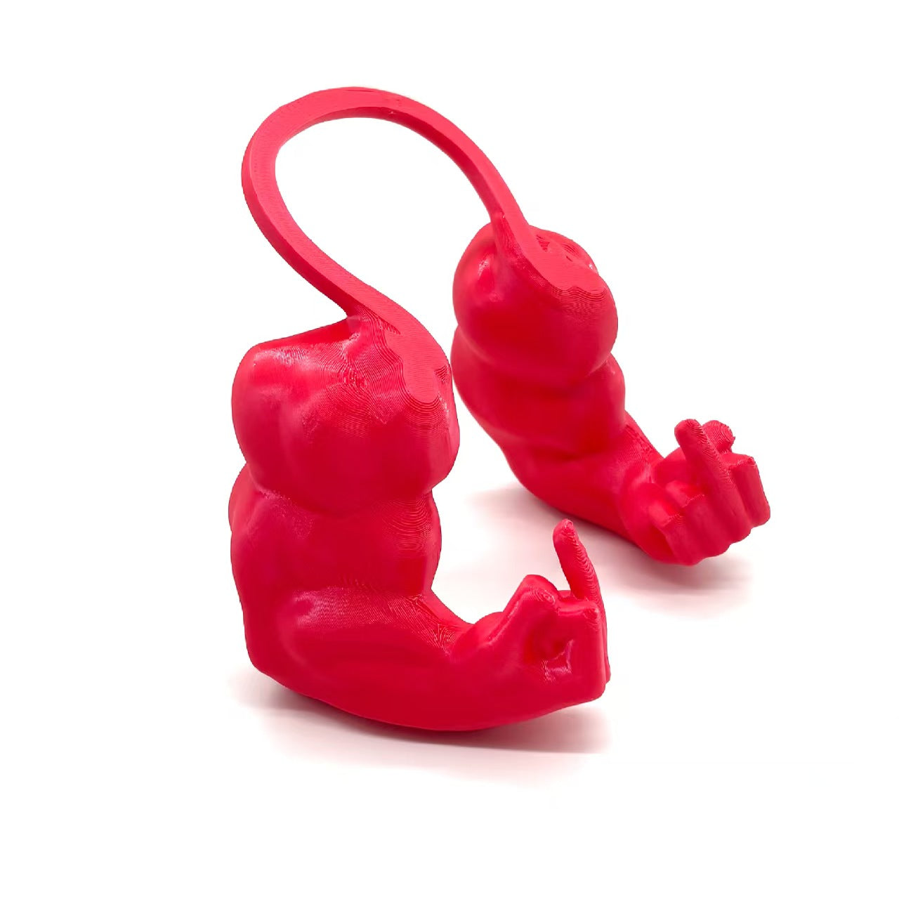 Funny Cat with MusclesFunny Cat with MuscularArms 3D Printed HumanArms for Cats