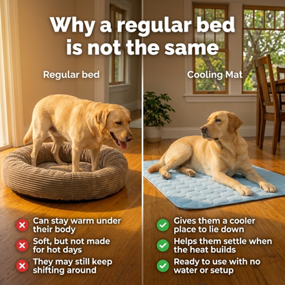 Koelmat voor honden