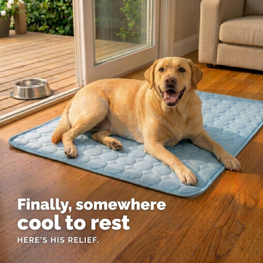 Koelmat voor honden