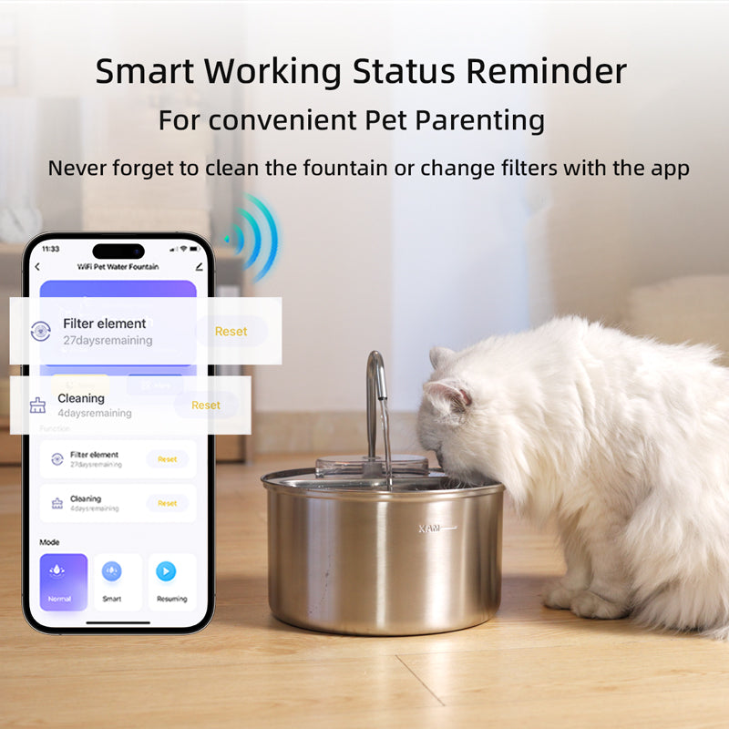 Smart Stainless Steel Pet Water Dispenser - Healthy Hydration Made Easy