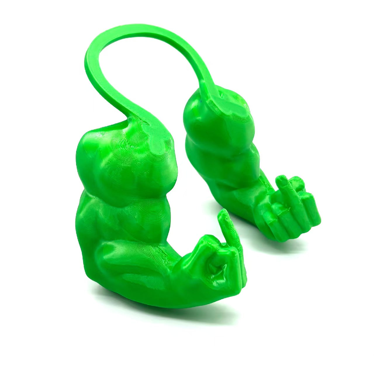 Funny Cat with MusclesFunny Cat with MuscularArms 3D Printed HumanArms for Cats